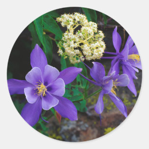 Mutant Columbine Wildflowers Classic Round Sticker