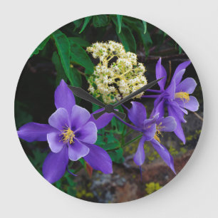 Mutant Columbine Wildflowers Large Clock