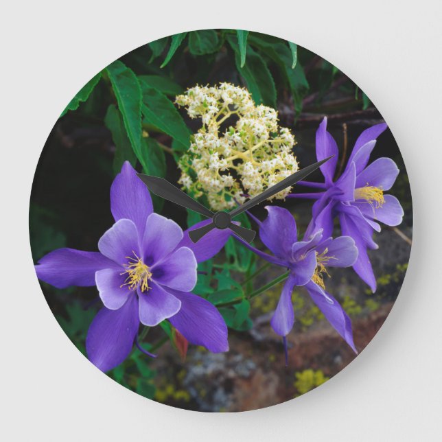 Mutant Columbine Wildflowers Large Clock (Front)