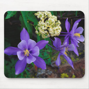 Mutant Columbine Wildflowers Mouse Mat