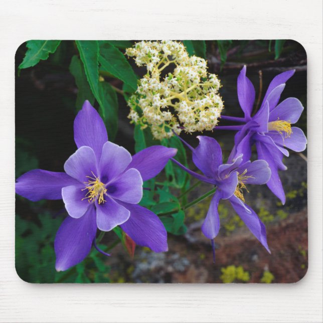 Mutant Columbine Wildflowers Mouse Mat (Front)