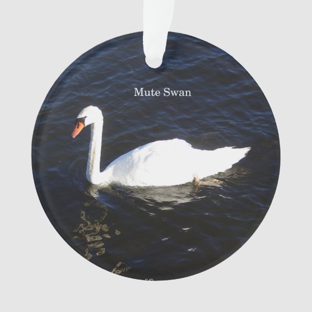 Mute Swan acrylic ornament (Front)