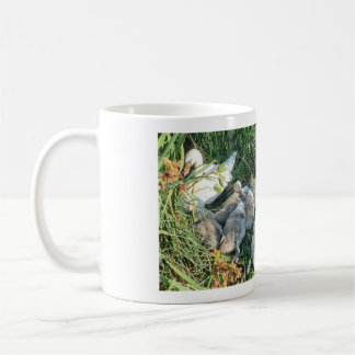 Mute Swan Adult And Cygnets Coffee Mug