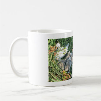Mute Swan Adult And Cygnets Coffee Mug