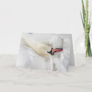 Mute Swan Blank Note Card