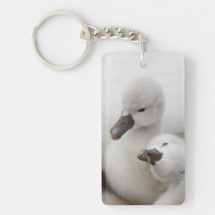 Mute Swan Cygnets Key Ring