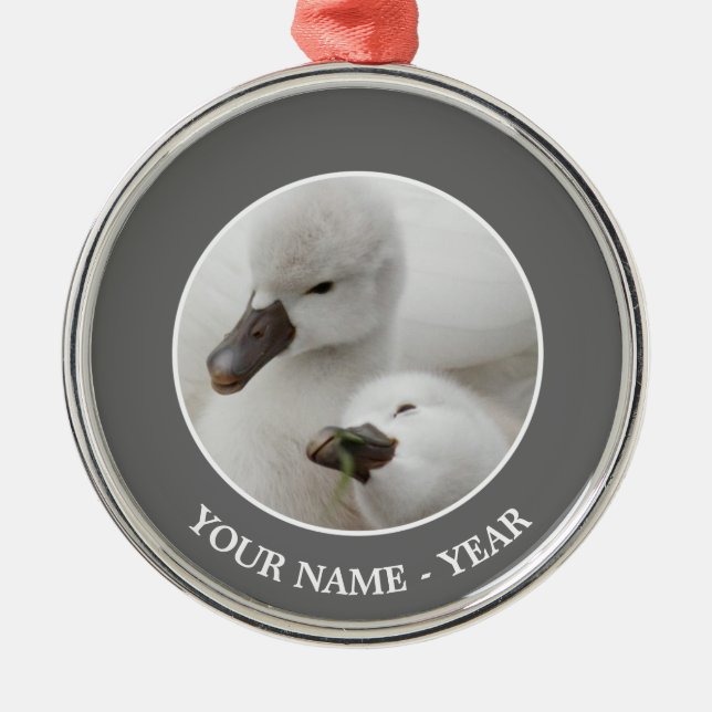 Mute Swan Cygnets Metal Tree Decoration (Front)