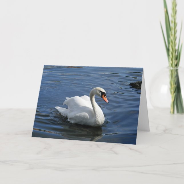 Mute Swan Family Greeting Card (Front)