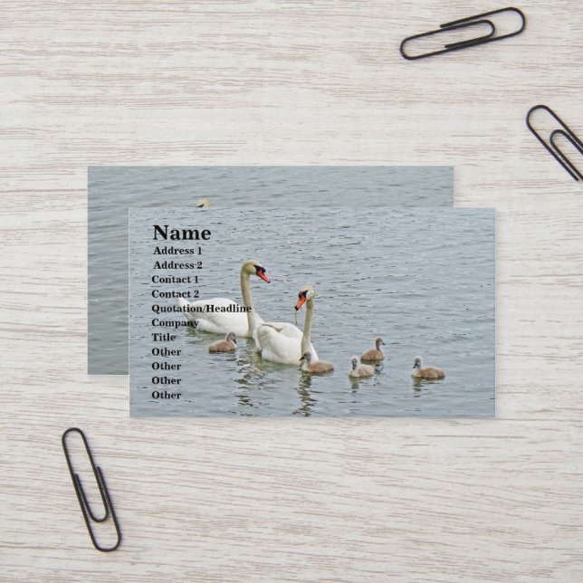 Mute Swan Famly Business Card (Front/Back In Situ)
