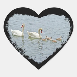 Mute Swan Famly Heart Sticker