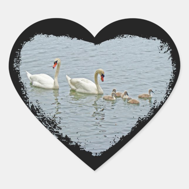 Mute Swan Famly Heart Sticker (Front)