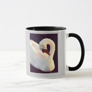 Mute Swan Mug