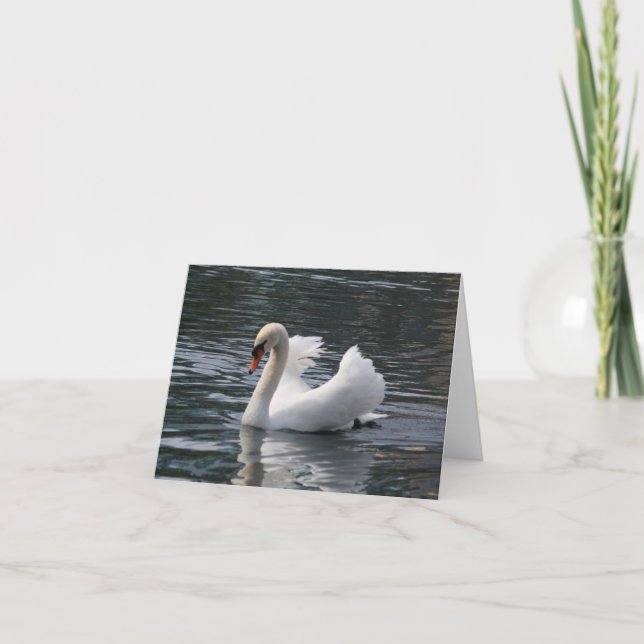 Mute Swan Photo Folded Note Card (Front)