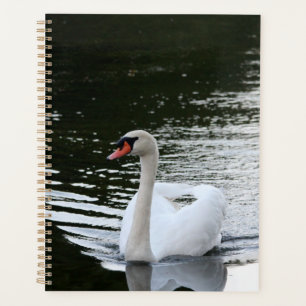 Mute Swan Planner