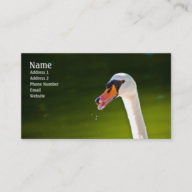 Mute Swan Profile Card (Front)