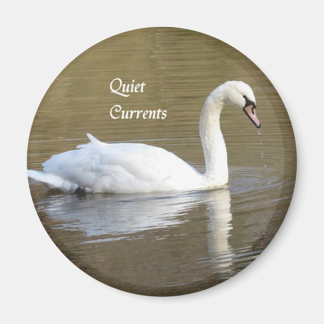 Mute Swan Relaxation Magnet (Front)