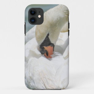 Mute swan white bird closeup iPhone 11 case