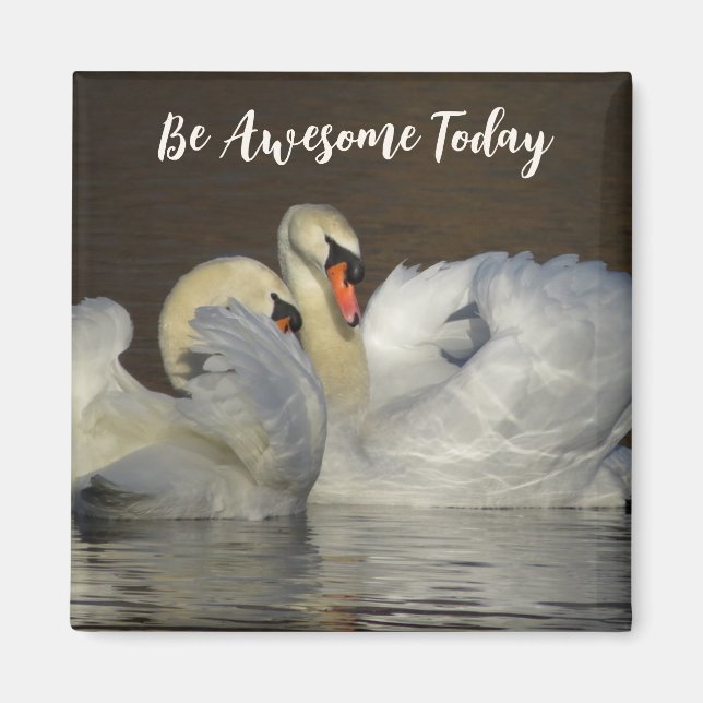 Mute Swans - Be Awesome Today Magnet (Front)