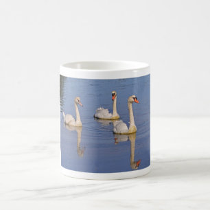 Mute swans swimming coffee mug