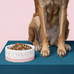 Muted Blush Pink Custom Pet Name Cat Dog Food Bowl<br><div class="desc">Add your cat, dog, or pet's name to this simple cute, minimal, and modern food bowl with a soft muted blush pink rose gold stripe at the bottom. Any colour or font can be changed by clicking "customise further" to design your own pet bowl. Coordinating items in the Paper Grape...</div>