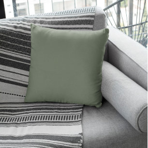 Muted Greenish Gray Cushion