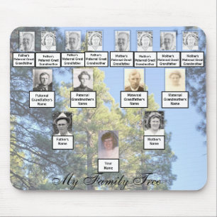 Muted Tall Pine Trees Family Tree Photos Mouse Mat