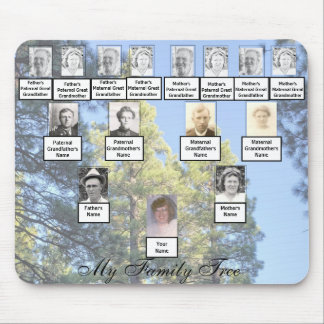 Muted Tall Pine Trees Family Tree Photos Mouse Mat