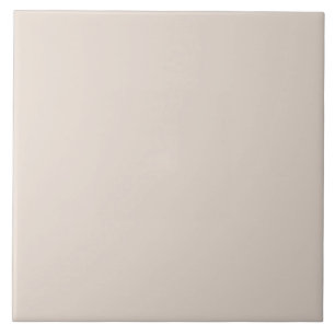 Muted Taupe Grey Tile