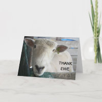 MUTTON MORE TO SAY - THANK EWE