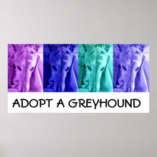 Mx4 Adopt a Greyhound Poster