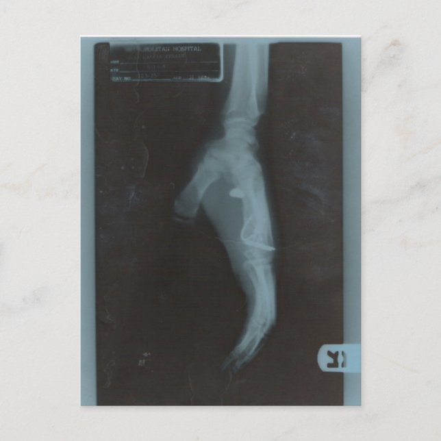 MY22BULLET POSTCARD (Front)