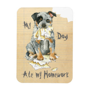 My ACD Ate My Homework Magnet