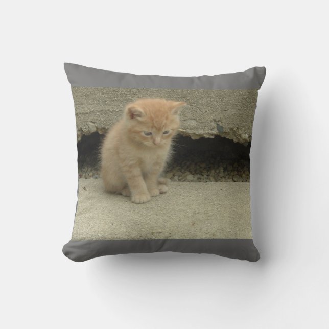 My Adorable Orange Tabby Kitten Cushion (Front)