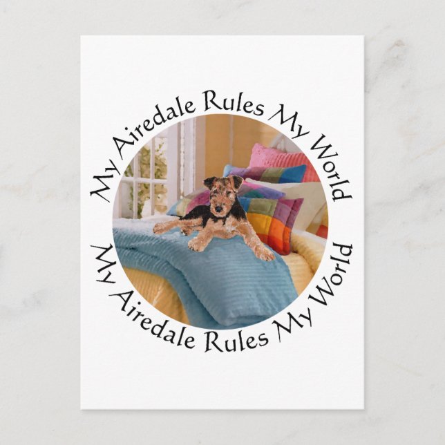 My Airedale Rules My World Postcard (Front)