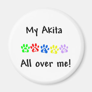 My Akita Walks All over Me Magnet
