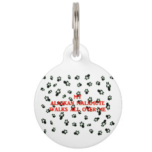 my alaskan malamute walks on me pet tag
