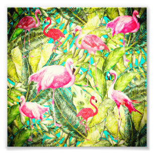 My Aloha Jungle Bird Flamingo Garden Photo Print