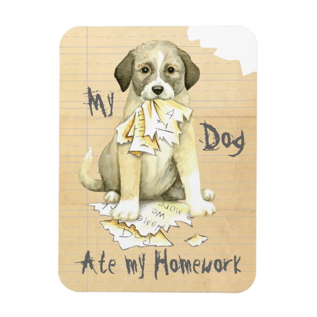 My Anatolian Ate my Homework Magnet (Vertical)