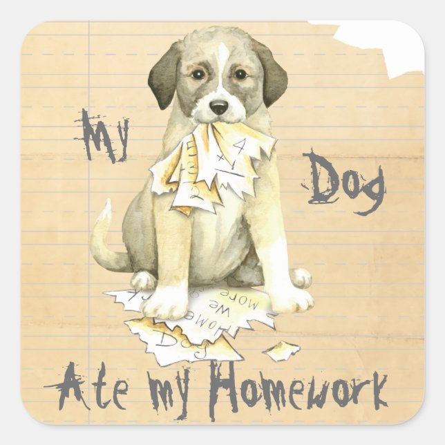 My Anatolian Ate my Homework Square Sticker (Front)