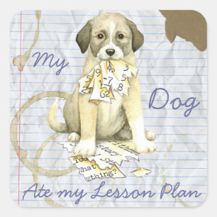 My Anatolian Ate My Lesson Plan Square Sticker