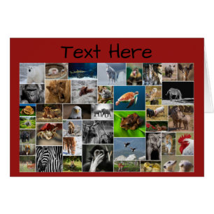 My Animal Kingdom Greeting Card, for any Occasion.