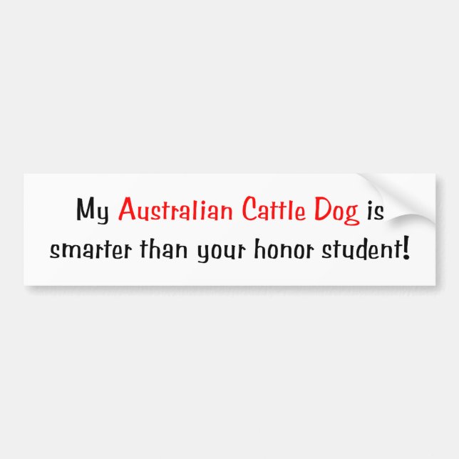 My Australian Cattle Dog is smarter Bumper Sticker (Front)