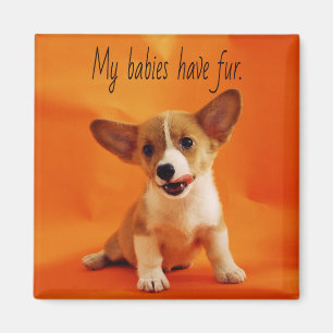 My babies have fur dog, cute puppies, puppy magnet