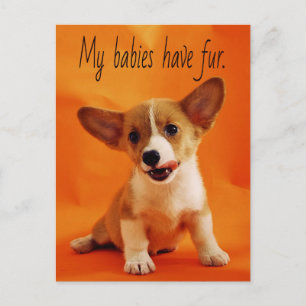 My babies have fur dog, cute puppies, puppy postcard