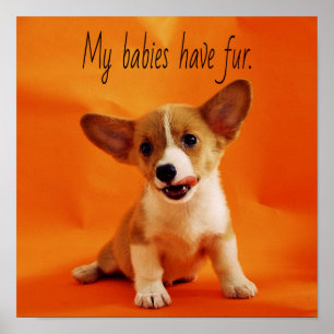 My babies have fur dog, cute puppies, puppy poster