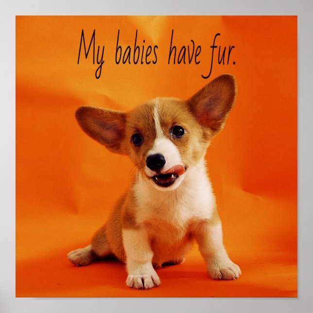My babies have fur dog, cute puppies, puppy poster (Front)