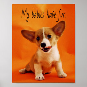 My babies have fur dog, cute puppies, puppy poster