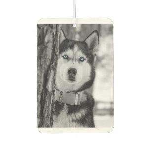 My Baby Blue Eyes Car Air Freshener