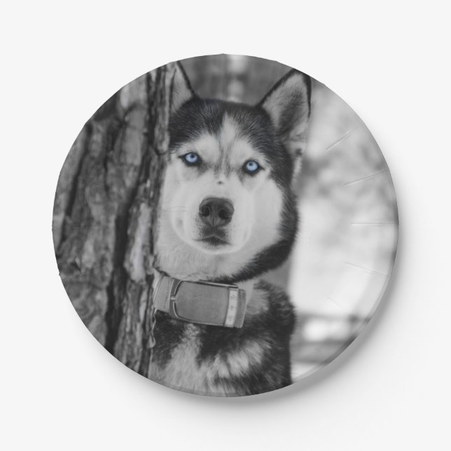 My Baby Blue Eyes Paper Plate (Front)