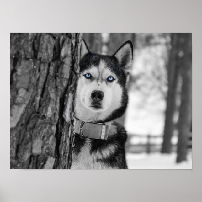 My Baby Blue Eyes Poster (Front)